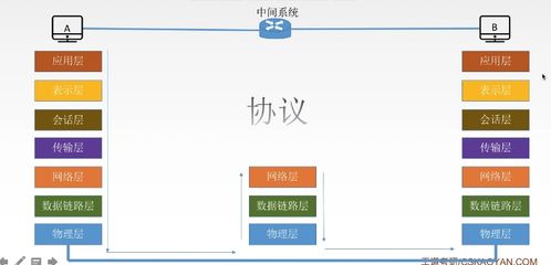 第一章 計(jì)算機(jī)網(wǎng)絡(luò)概述 手機(jī)軟硬件開(kāi)發(fā)與銷售的核心基石
